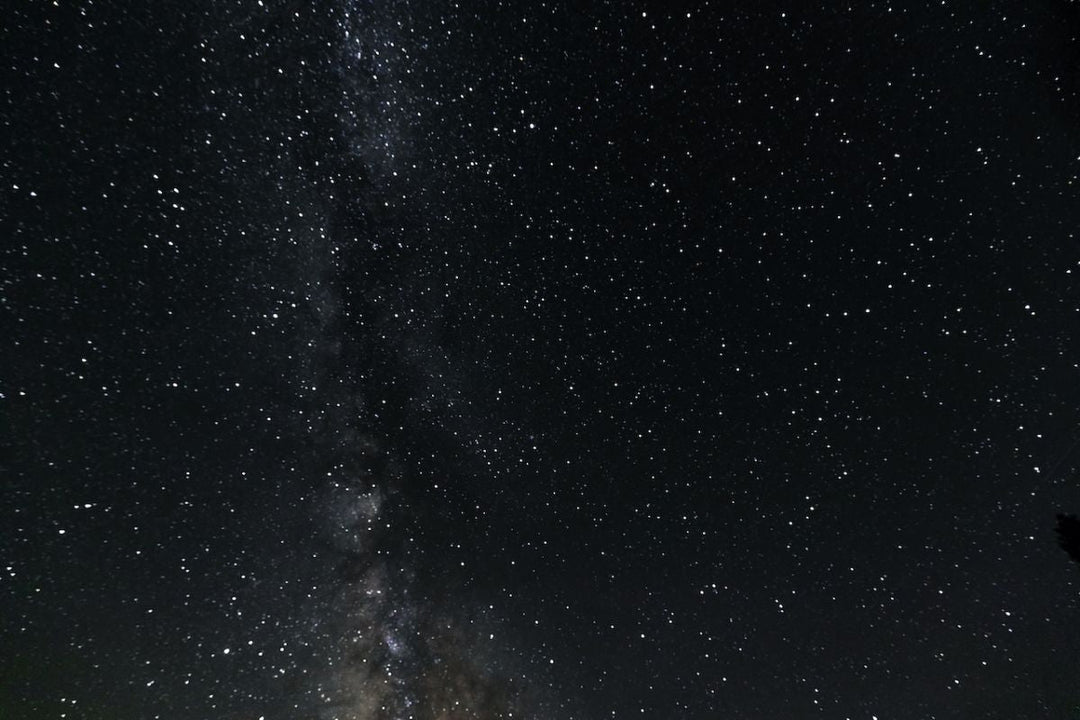 STAR GAZERS | August 1st or 22nd, 2025