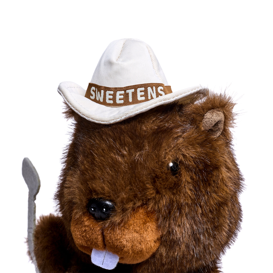 Toy | Barry the Beaver Plush